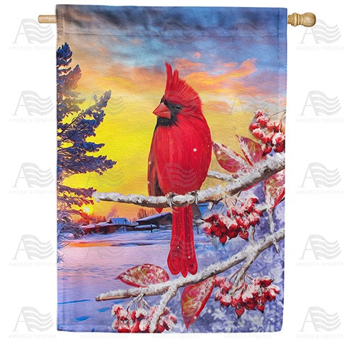 Bitter Cold Day Double Sided House Flag