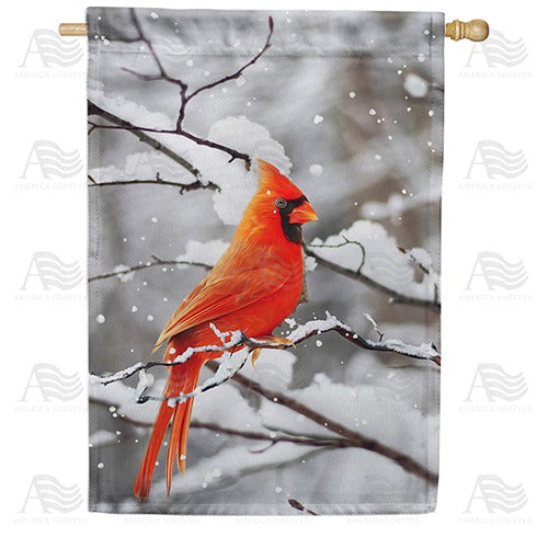 Cardinal On Snowy Branch Double Sided House Flag