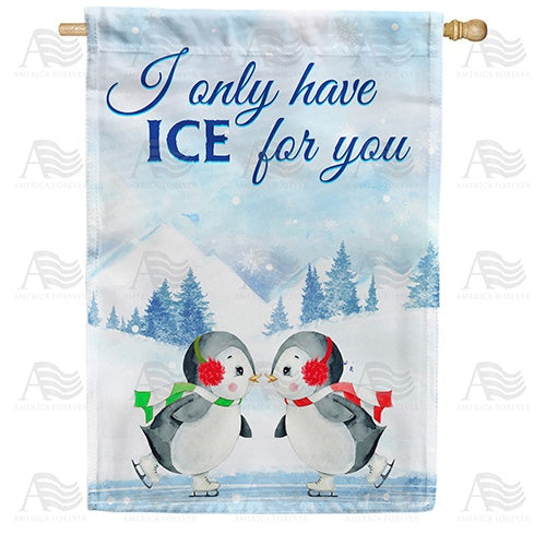 Cute Penguin Skaters Double Sided House Flag