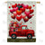 Heart Balloons and Blossoms Delivery Double Sided House Flag