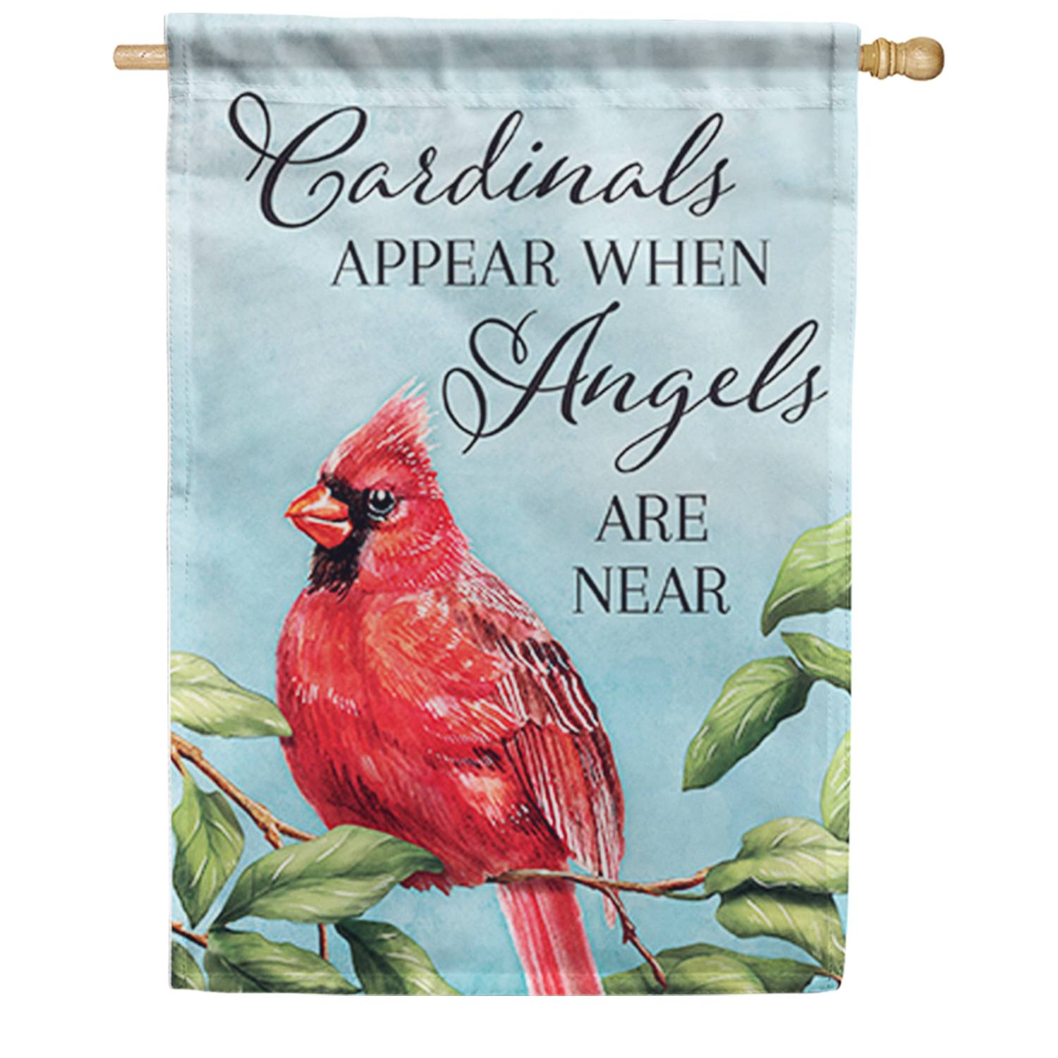 Carson Cardinals Appear House Flag