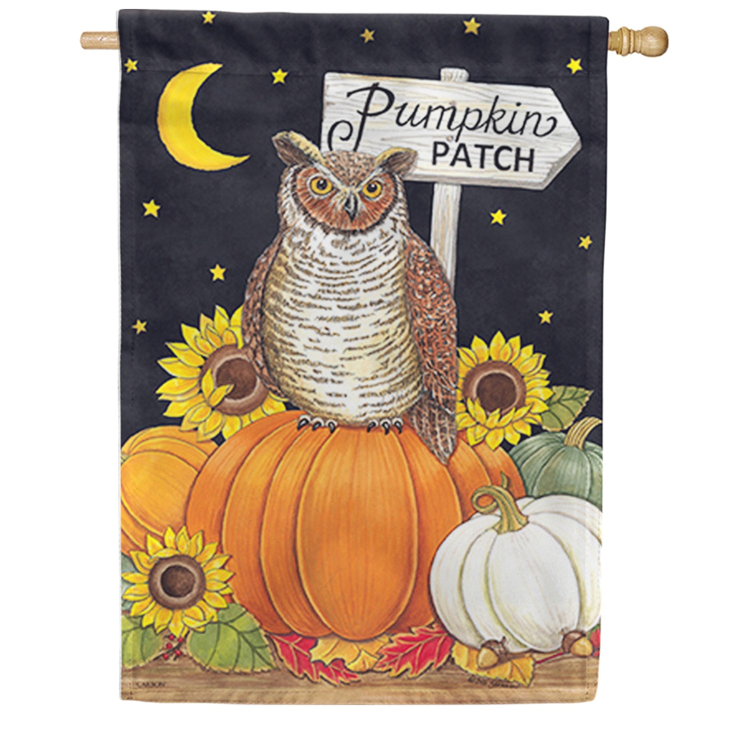 Pumpkin Patch Owl House Flag