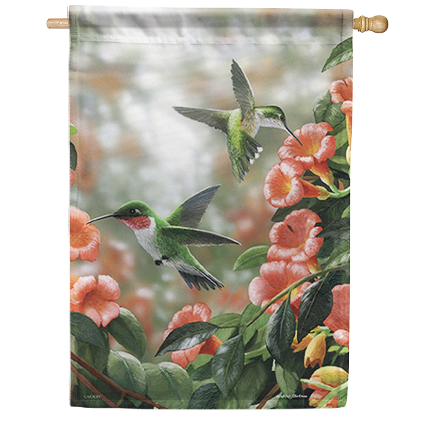 Trumpet Hummingbirds House Flag