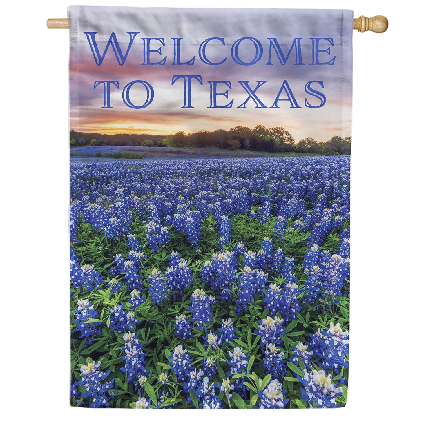 Welcome to Texas House Flag