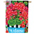 Blue Pot Geranium House Flag