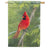 Magnet Works Cardinal House Flag