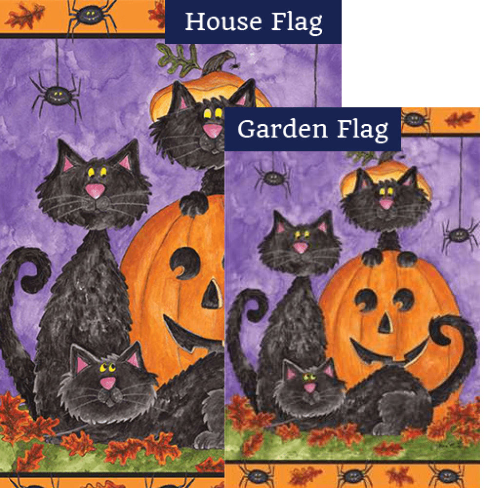 Three Black Cats Brilliance Flags Set (2 Pieces)