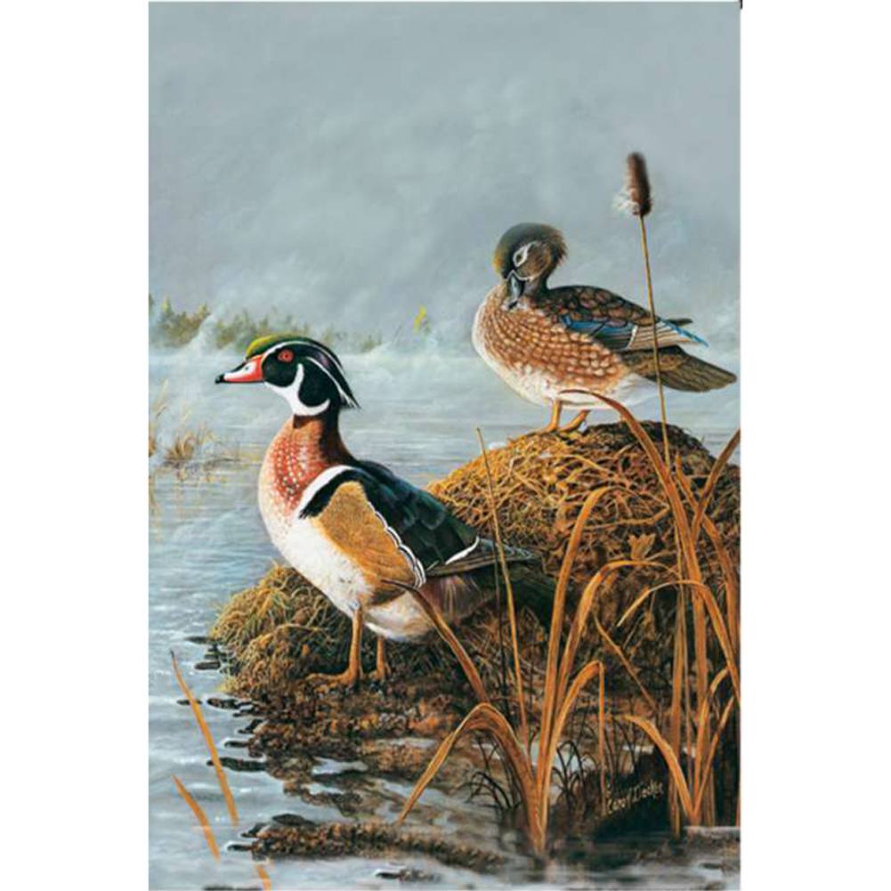 Steamy Wood Ducks Illuminated Garden Flag