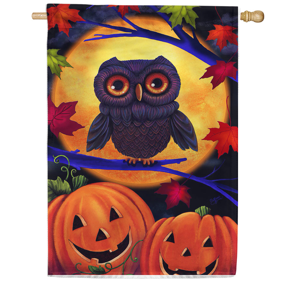 Halloween Owl House Flag