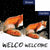 Winter Welcome Fox Flags Set (2 Pieces)
