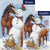 Snowman Pasture Flags Set (2 Pieces)